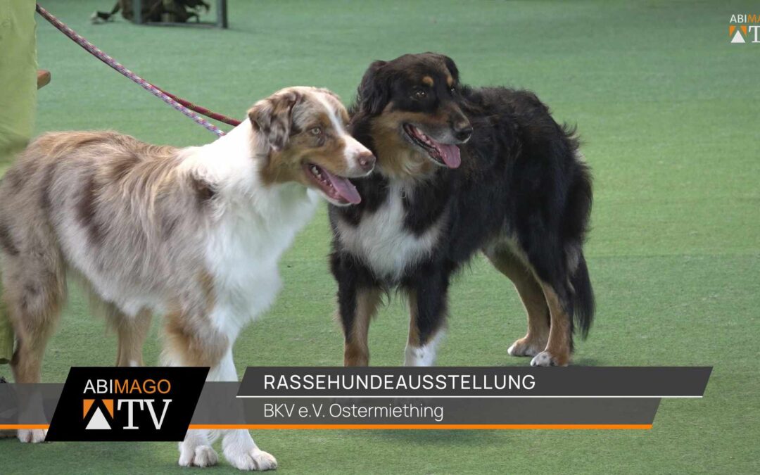 Internationale Rassehundeausstellung 2024