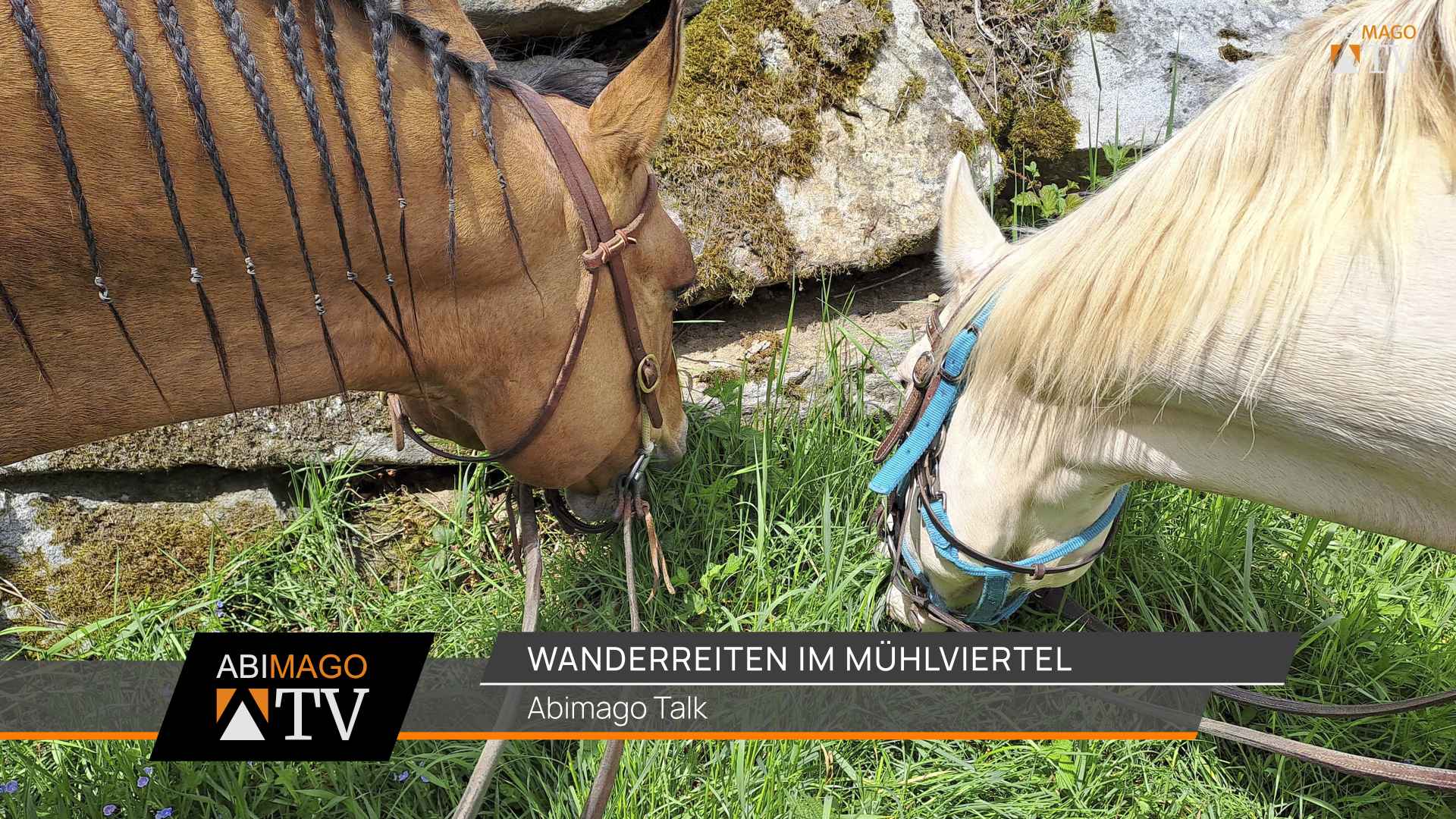 240618 wanderreiten talk thumb