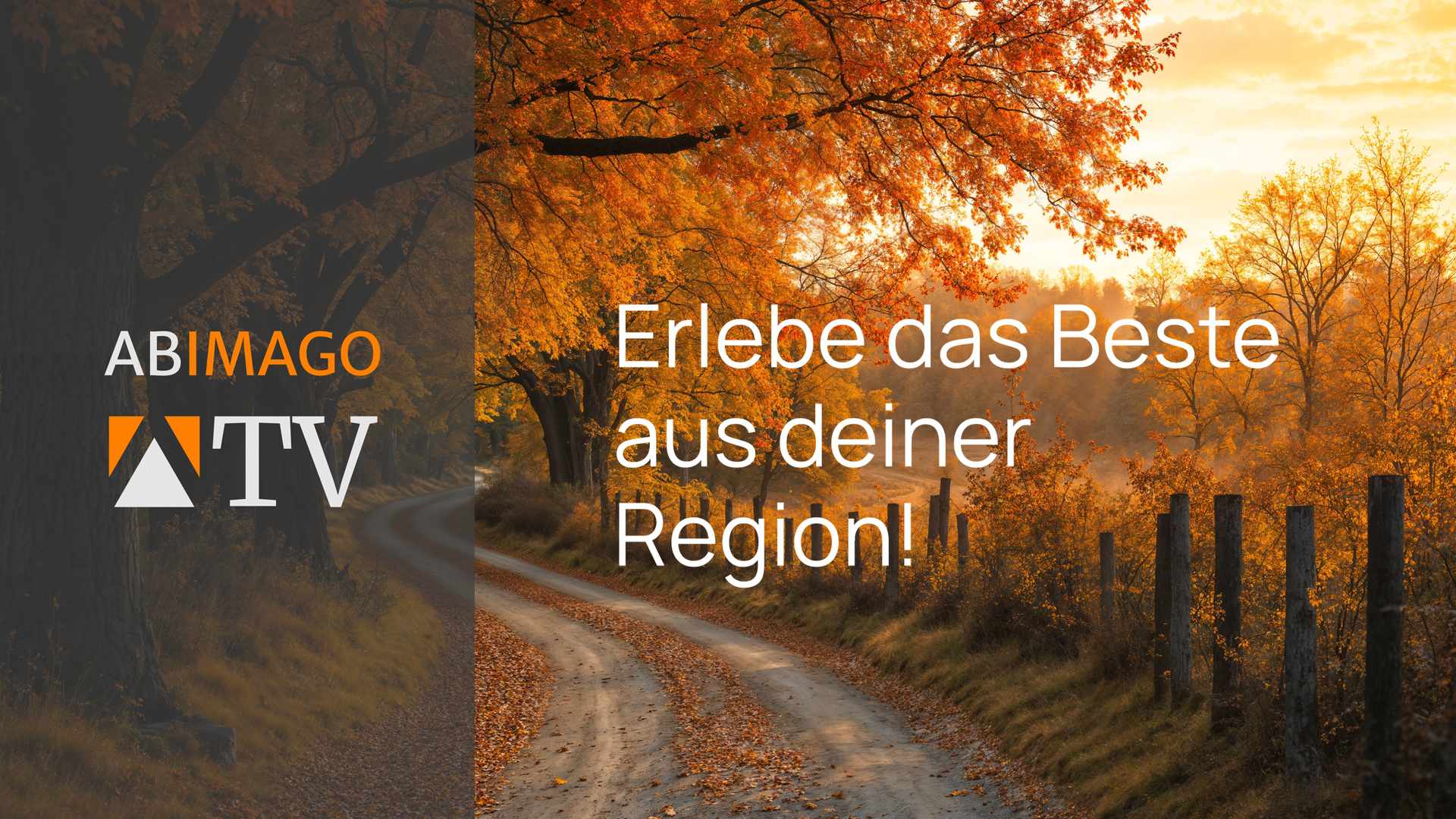 241000 trenner beste aus der region herbst thumb