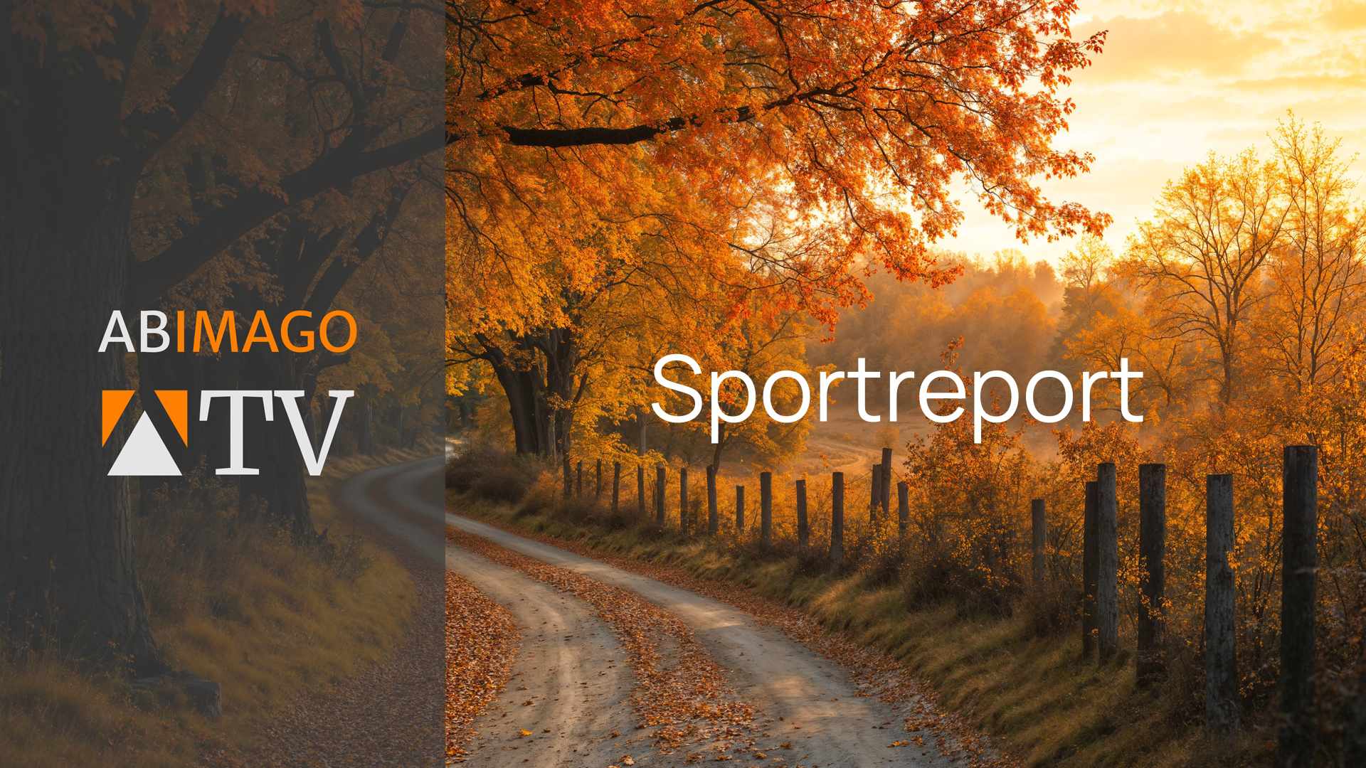 241000 trenner sportreport herbst thumb