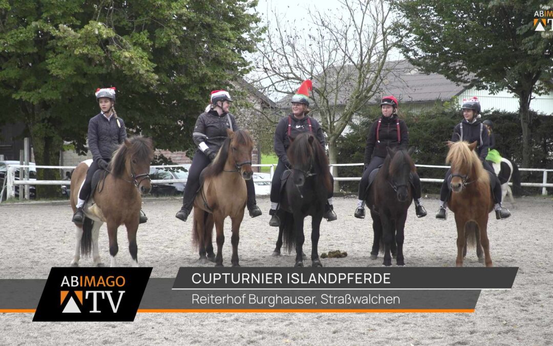 Cupturnier Islandpferde – Strasswalchen