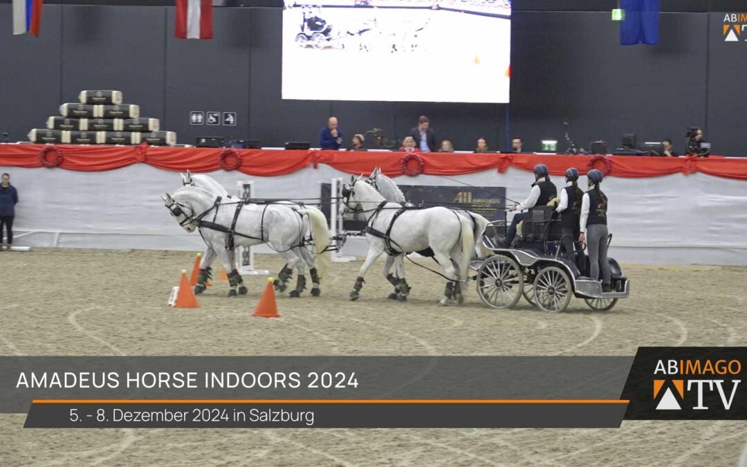 Amadeus Horse Indoors 2024 – Messe