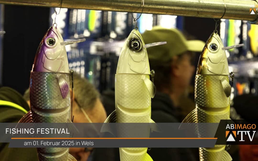 Fishing Festival, Wels 2025